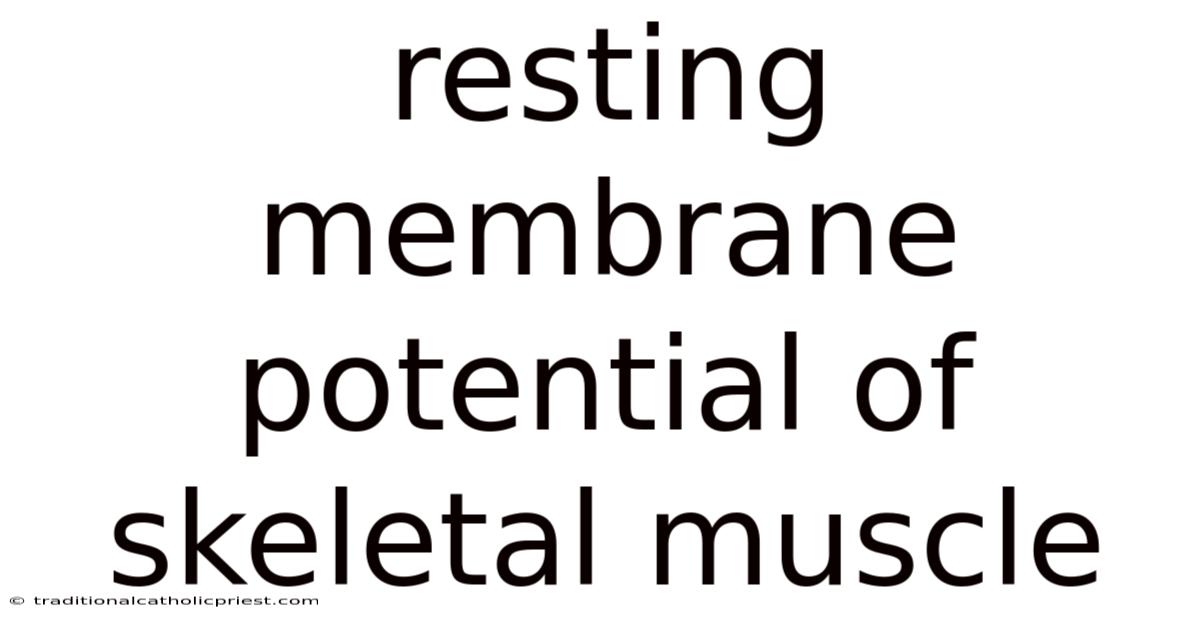 Resting Membrane Potential Of Skeletal Muscle