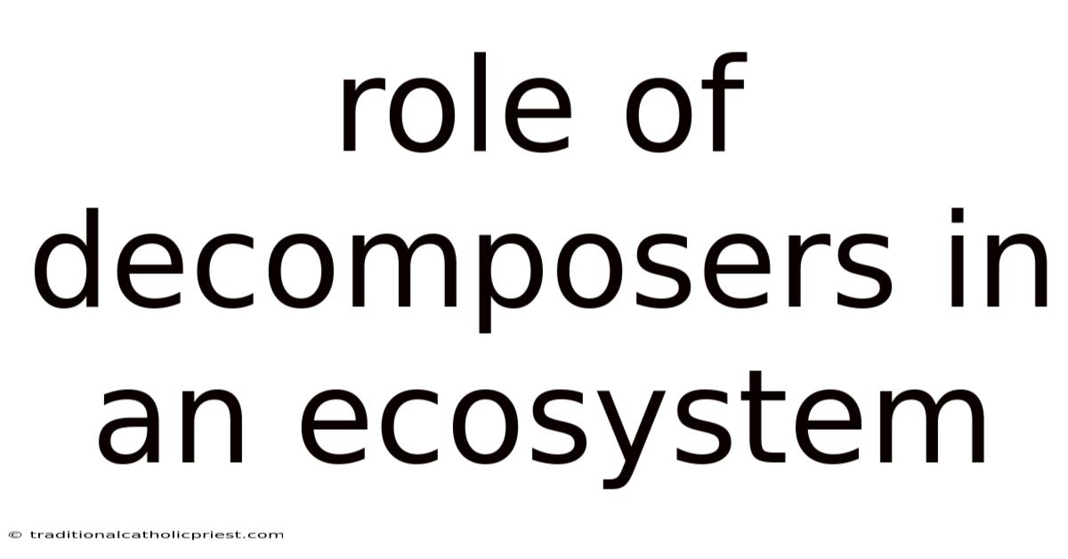 Role Of Decomposers In An Ecosystem