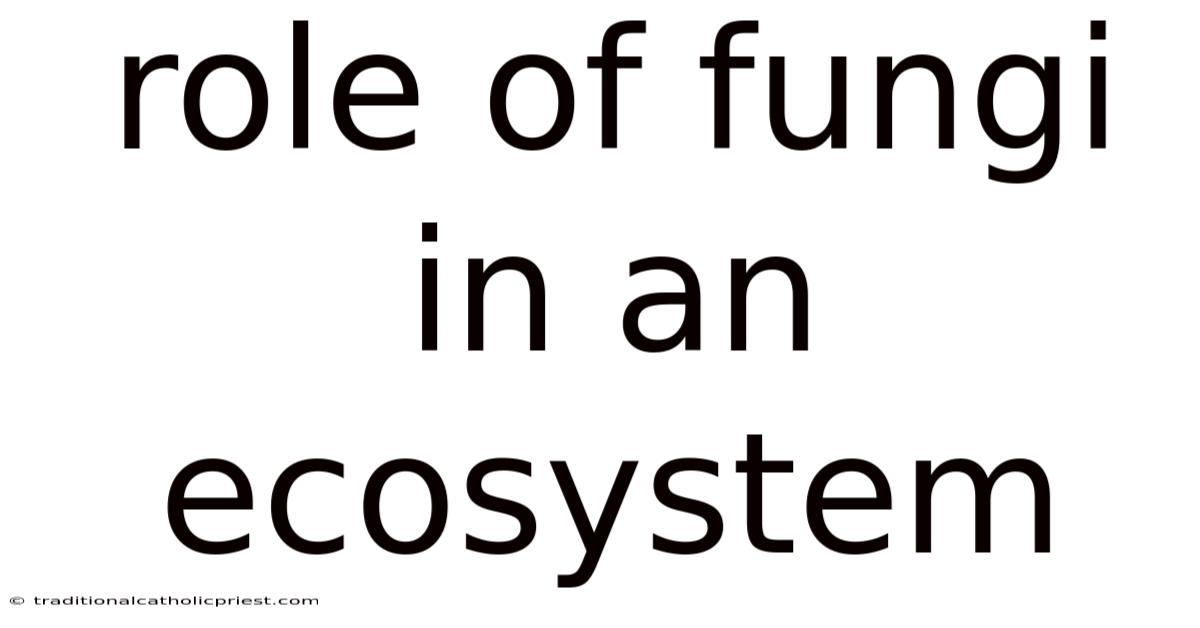 Role Of Fungi In An Ecosystem