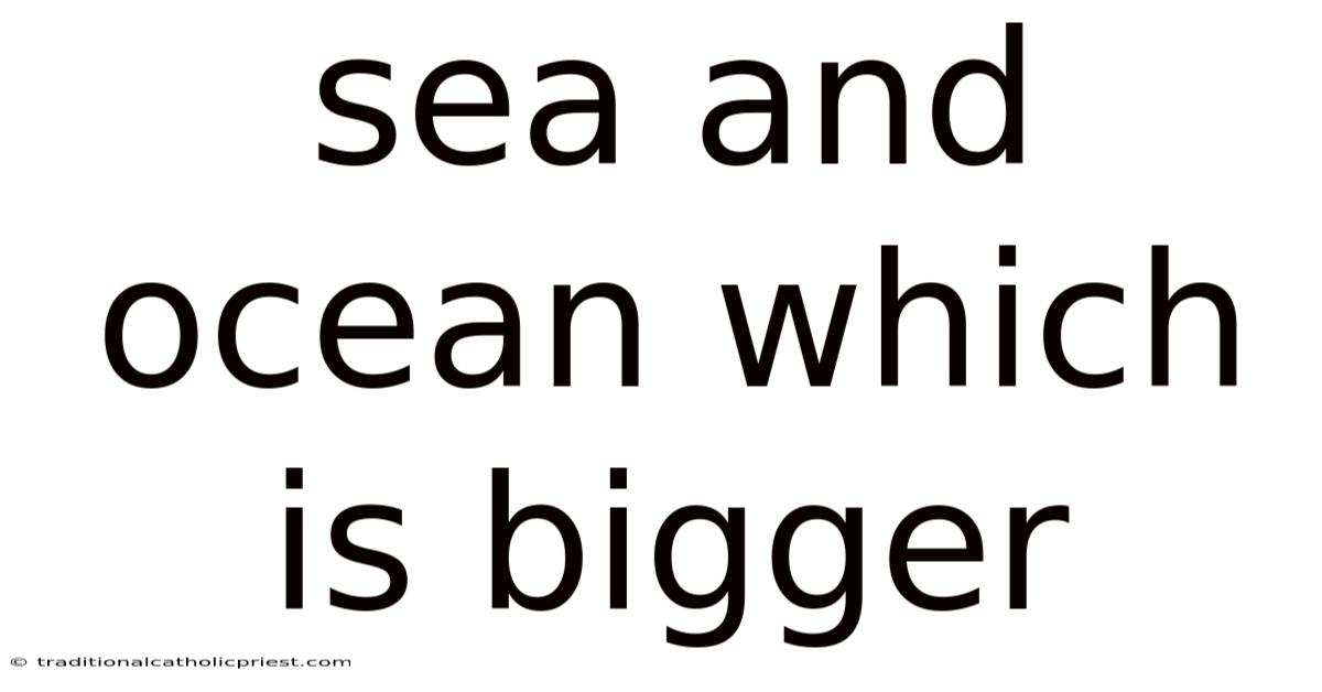 Sea And Ocean Which Is Bigger