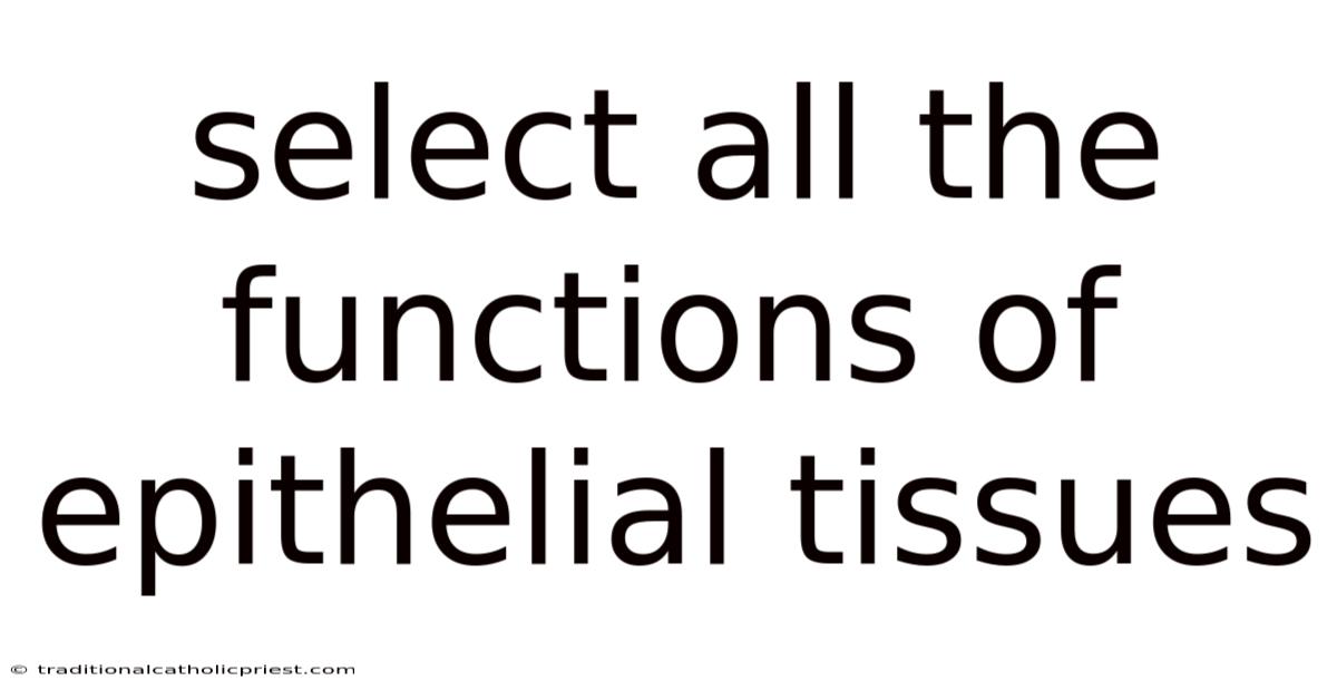 Select All The Functions Of Epithelial Tissues