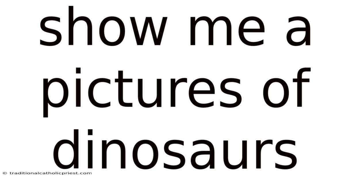 Show Me A Pictures Of Dinosaurs