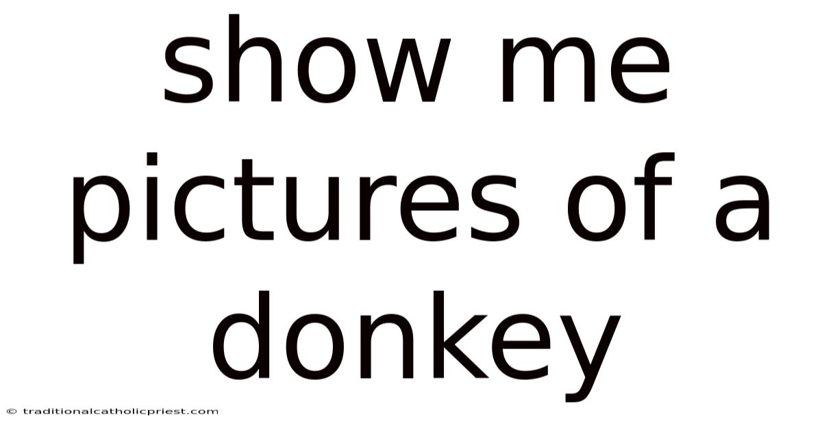 Show Me Pictures Of A Donkey