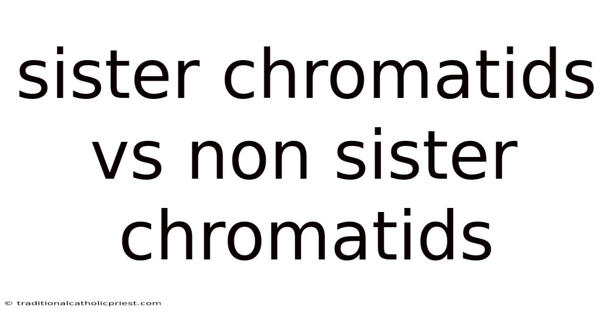 Sister Chromatids Vs Non Sister Chromatids