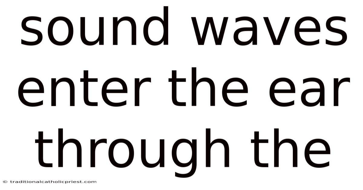 Sound Waves Enter The Ear Through The