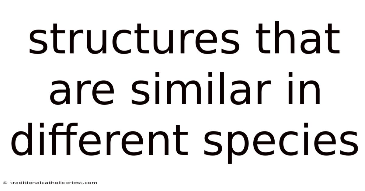 Structures That Are Similar In Different Species