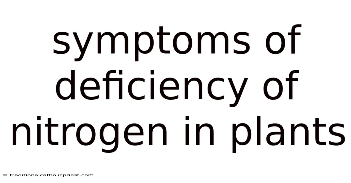 Symptoms Of Deficiency Of Nitrogen In Plants