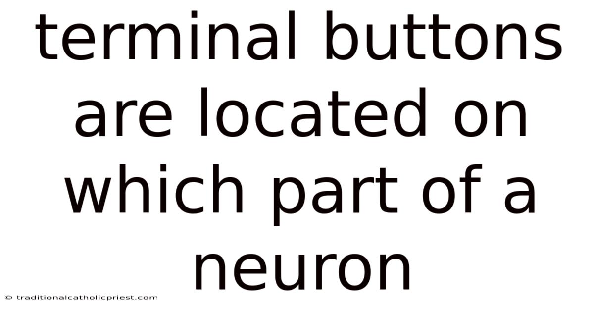 Terminal Buttons Are Located On Which Part Of A Neuron