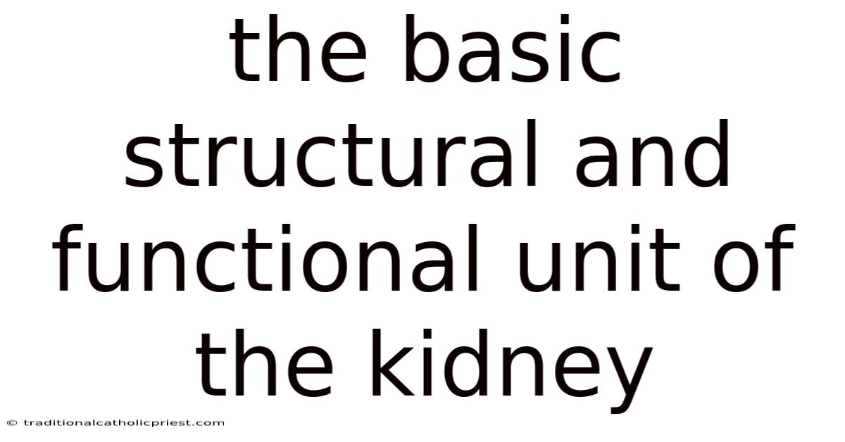 The Basic Structural And Functional Unit Of The Kidney