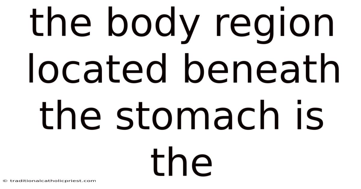 The Body Region Located Beneath The Stomach Is The