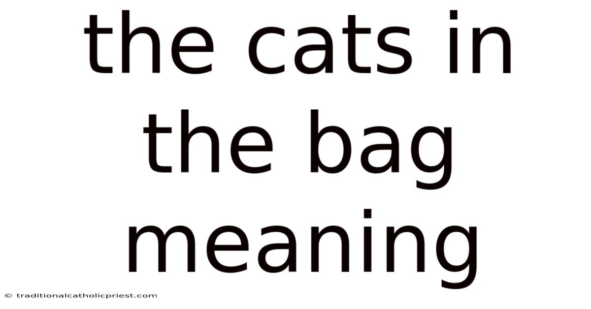 The Cats In The Bag Meaning