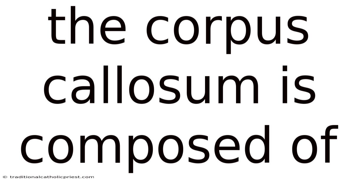 The Corpus Callosum Is Composed Of