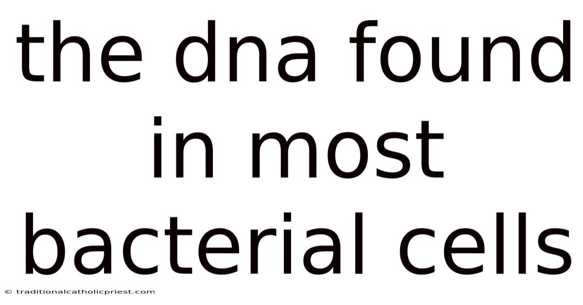 The Dna Found In Most Bacterial Cells