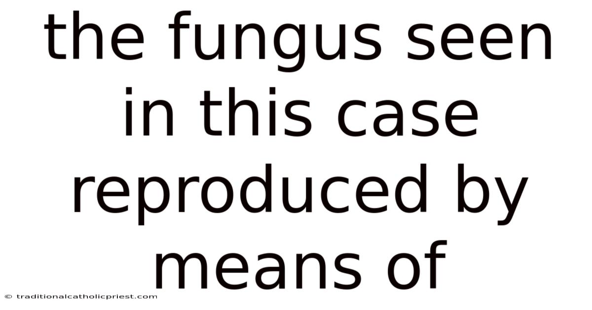 The Fungus Seen In This Case Reproduced By Means Of