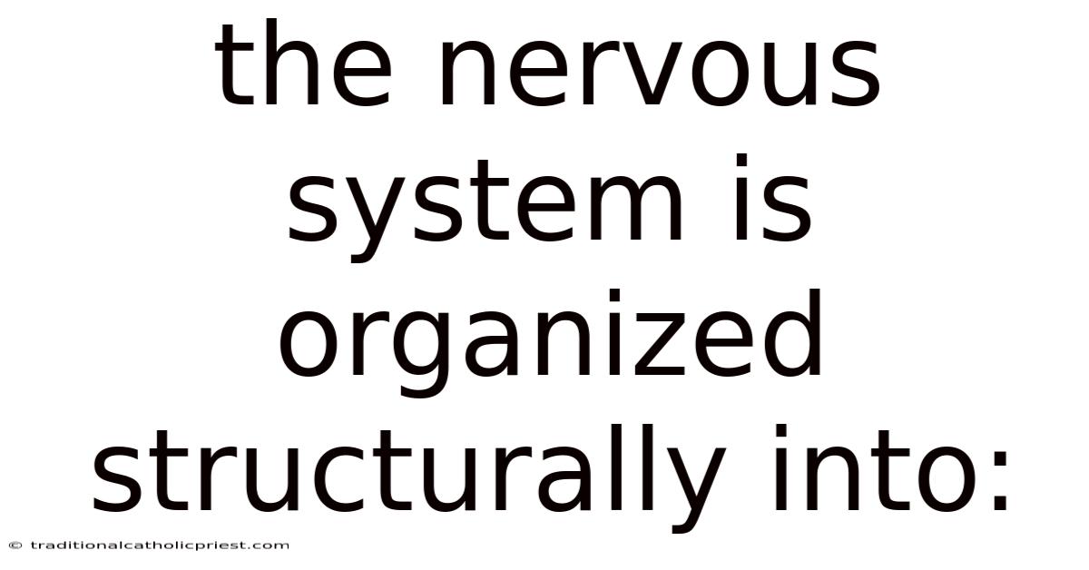 The Nervous System Is Organized Structurally Into:
