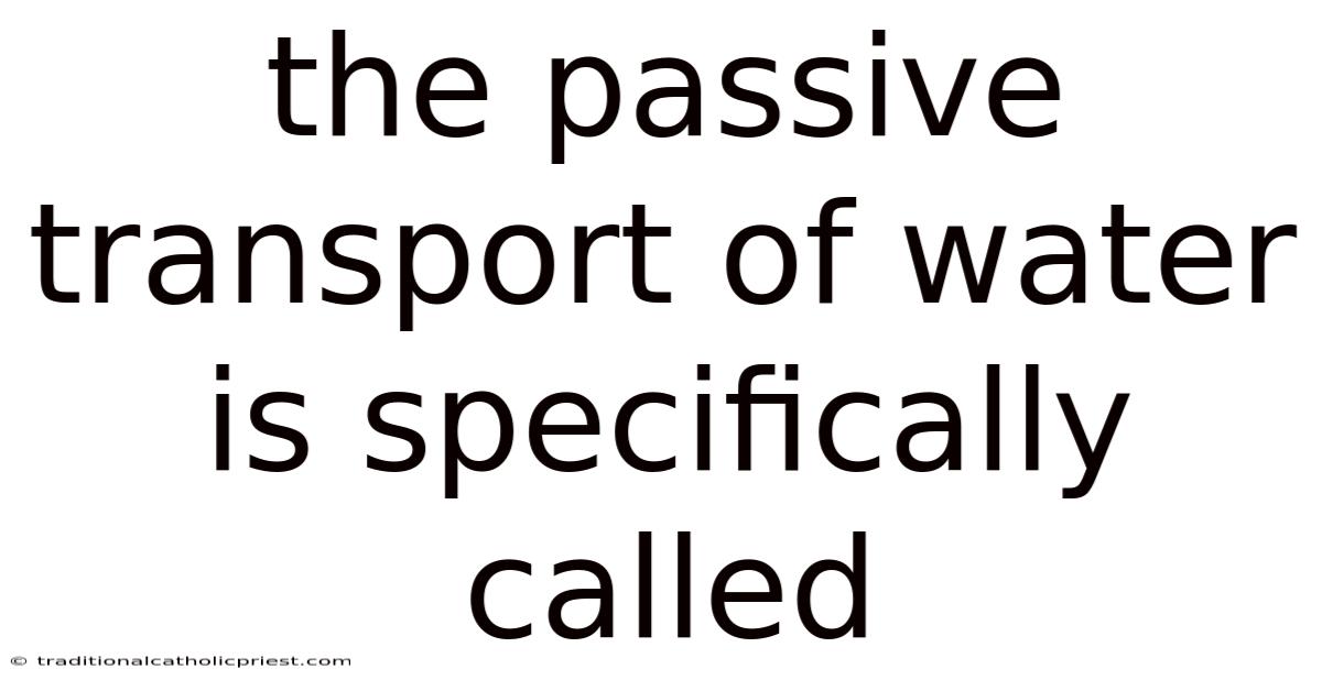 The Passive Transport Of Water Is Specifically Called