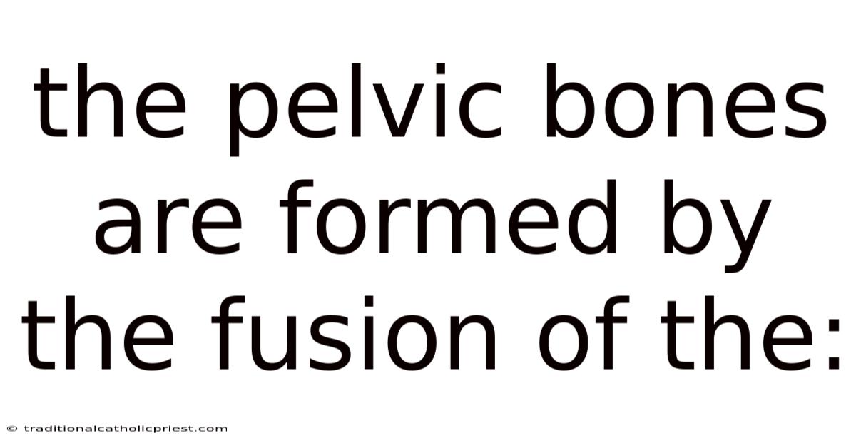 The Pelvic Bones Are Formed By The Fusion Of The: