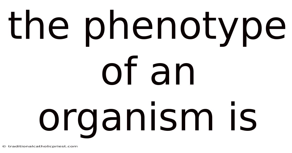 The Phenotype Of An Organism Is