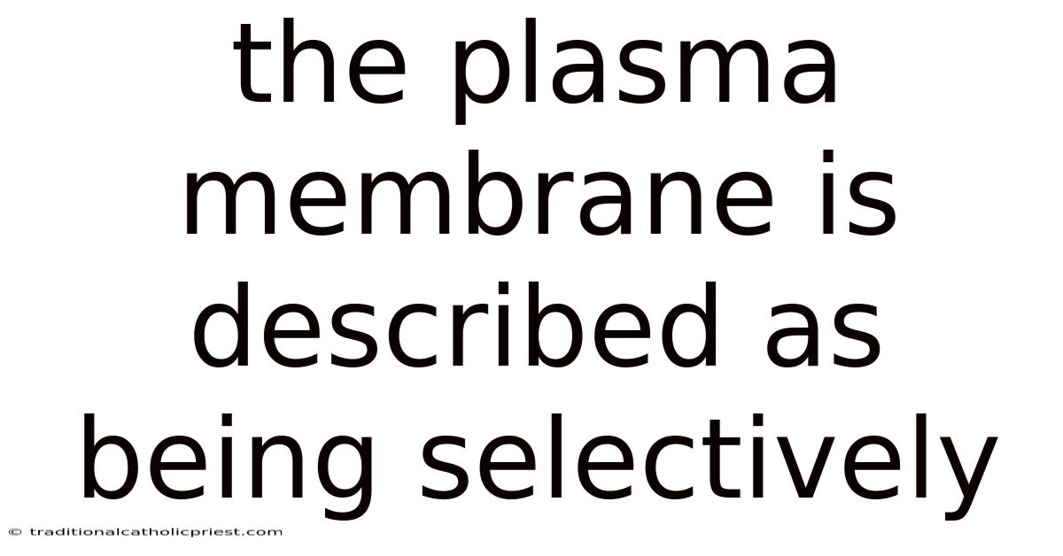 The Plasma Membrane Is Described As Being Selectively