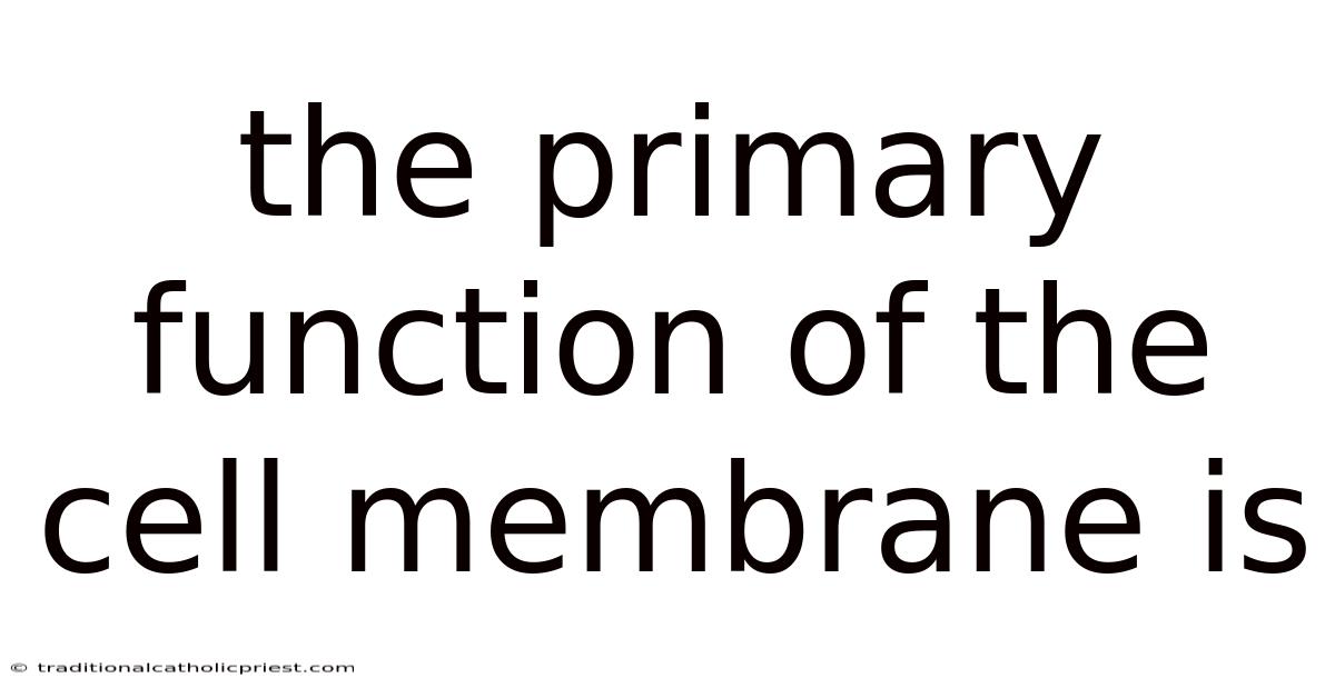 The Primary Function Of The Cell Membrane Is