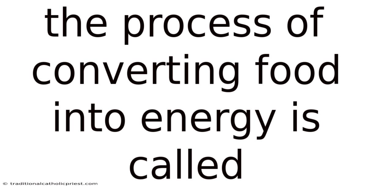 The Process Of Converting Food Into Energy Is Called