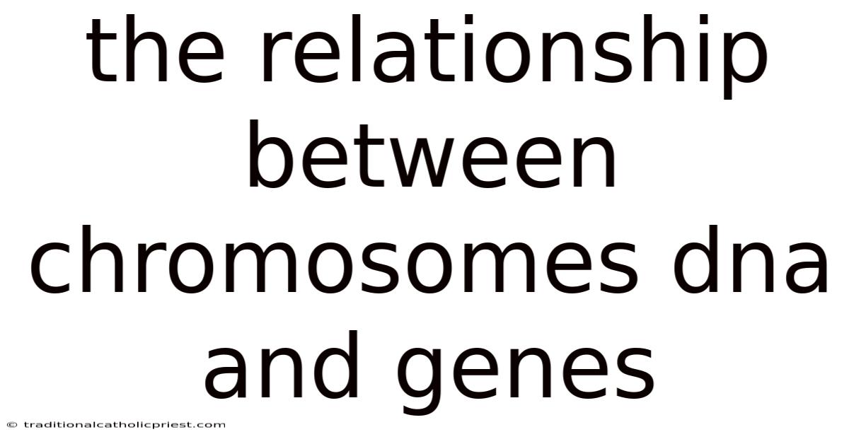 The Relationship Between Chromosomes Dna And Genes