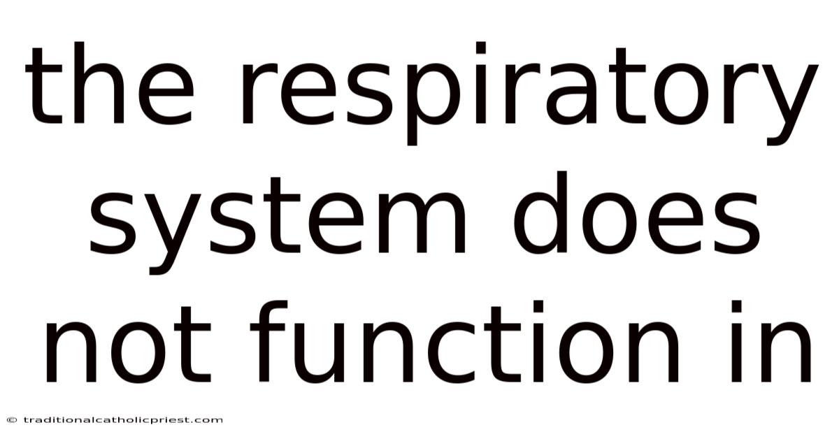 The Respiratory System Does Not Function In