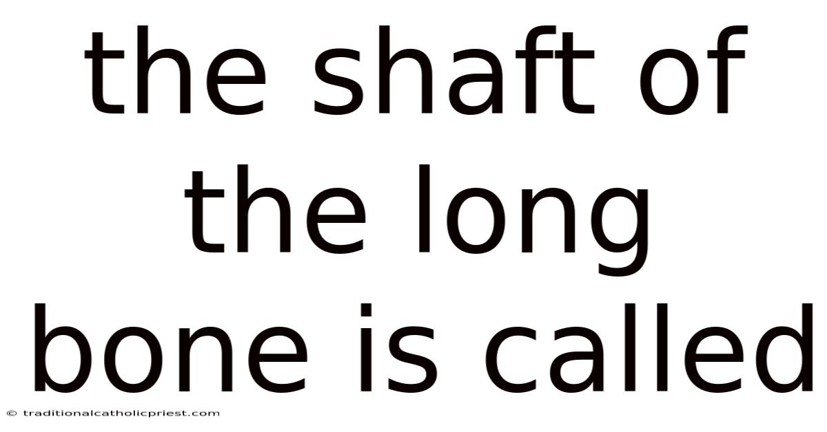 The Shaft Of The Long Bone Is Called