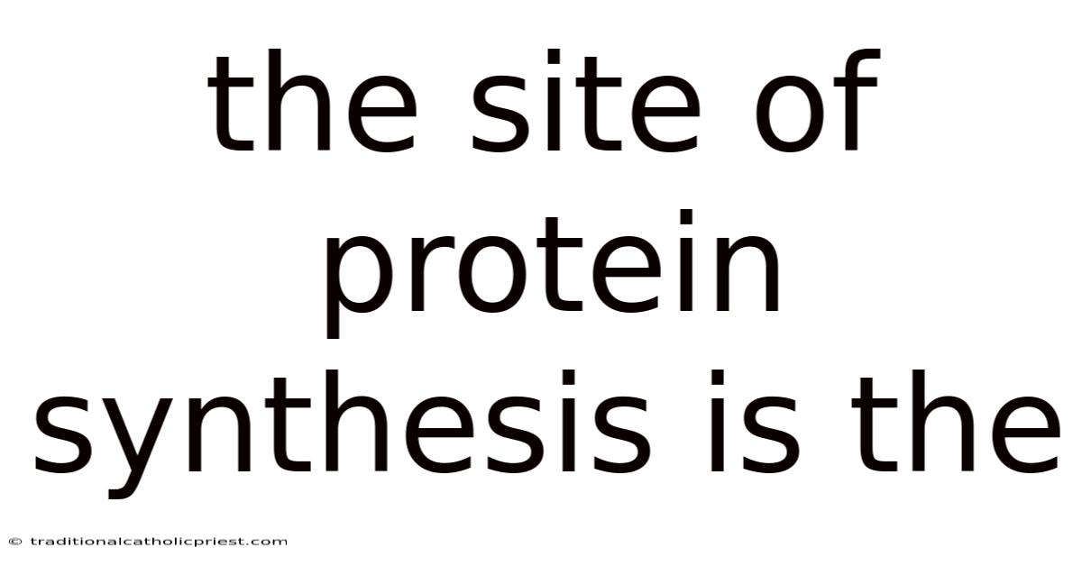 The Site Of Protein Synthesis Is The