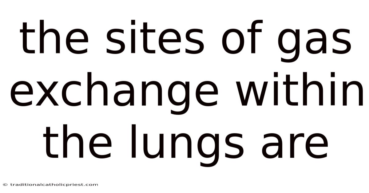The Sites Of Gas Exchange Within The Lungs Are