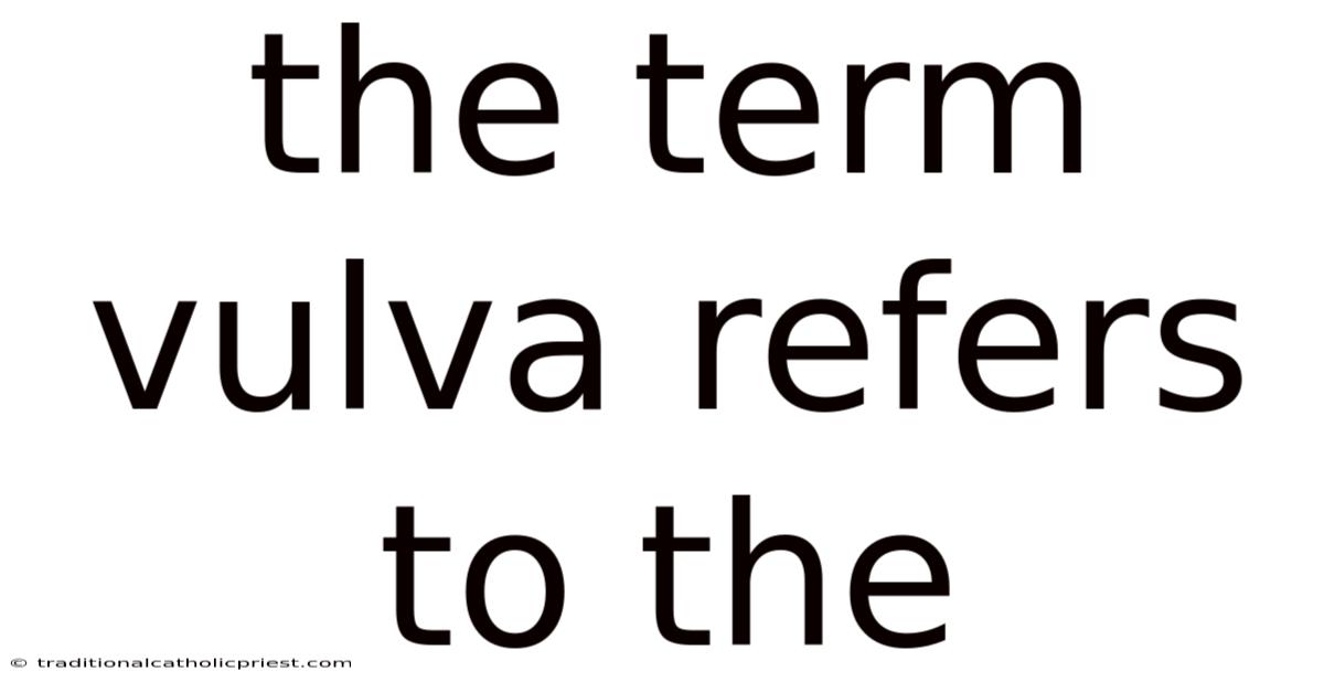 The Term Vulva Refers To The