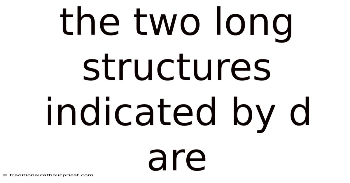 The Two Long Structures Indicated By D Are