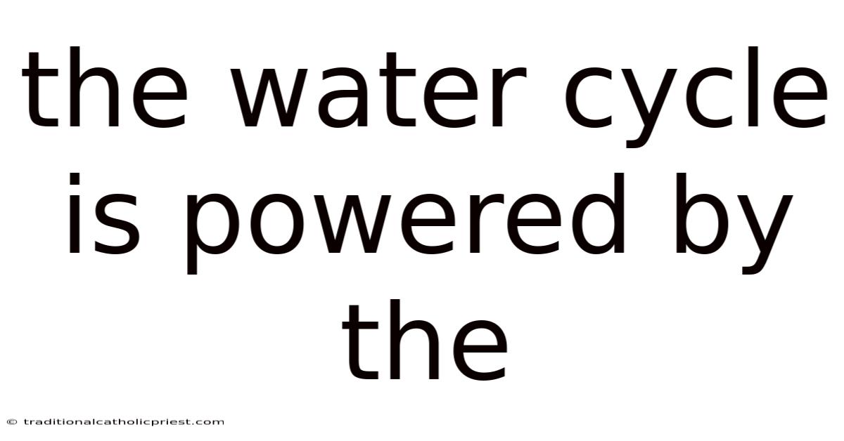 The Water Cycle Is Powered By The