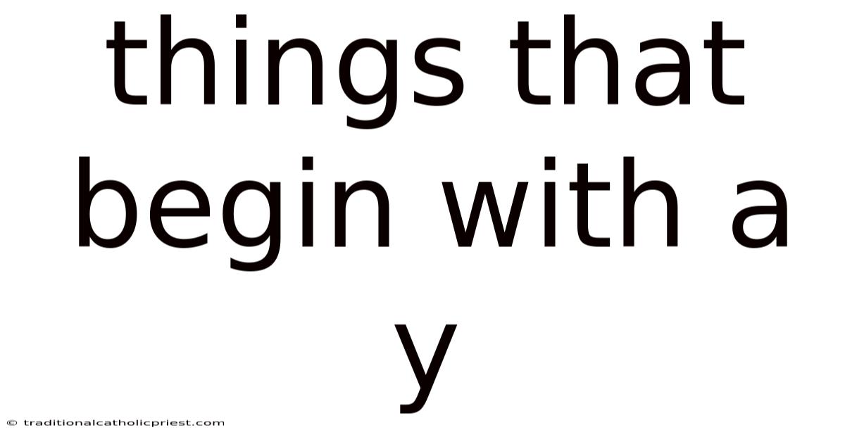 Things That Begin With A Y
