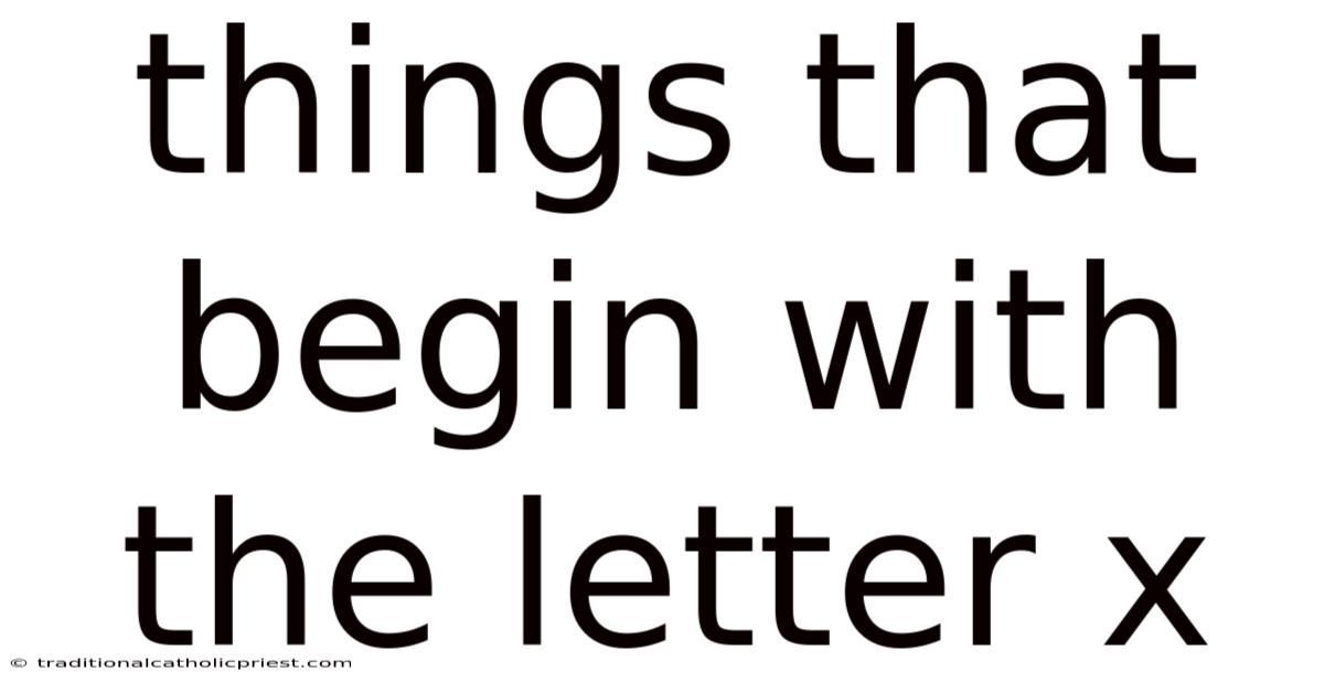 Things That Begin With The Letter X