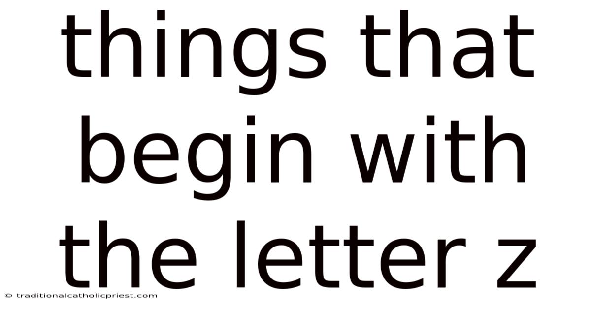 Things That Begin With The Letter Z