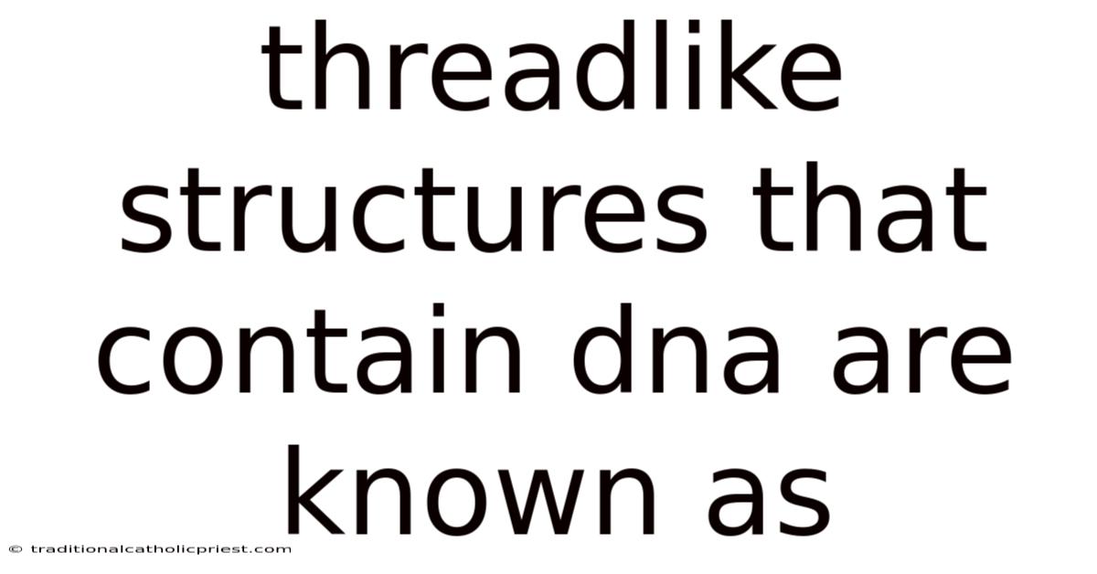 Threadlike Structures That Contain Dna Are Known As