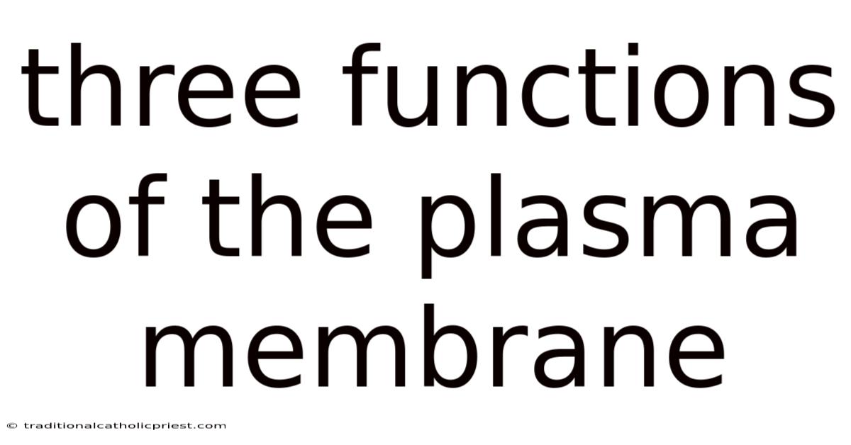 Three Functions Of The Plasma Membrane
