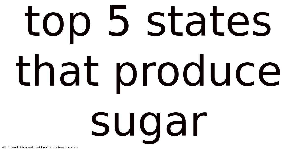 Top 5 States That Produce Sugar