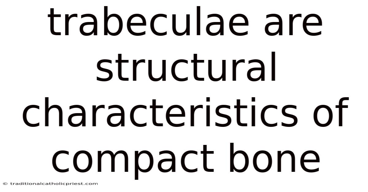 Trabeculae Are Structural Characteristics Of Compact Bone