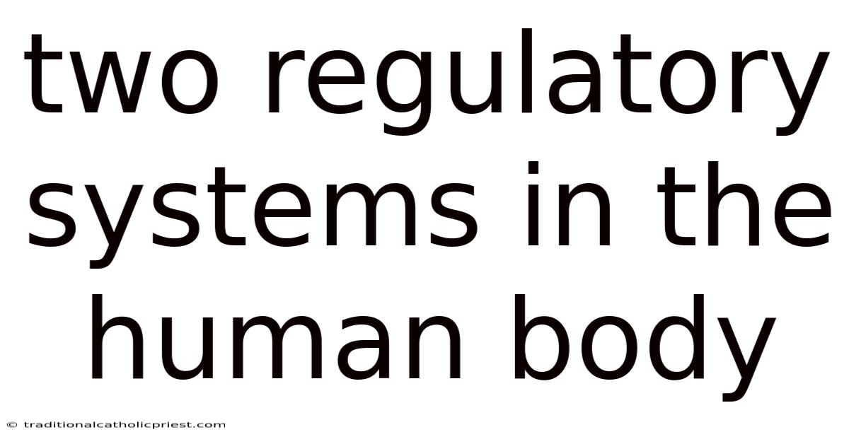 Two Regulatory Systems In The Human Body