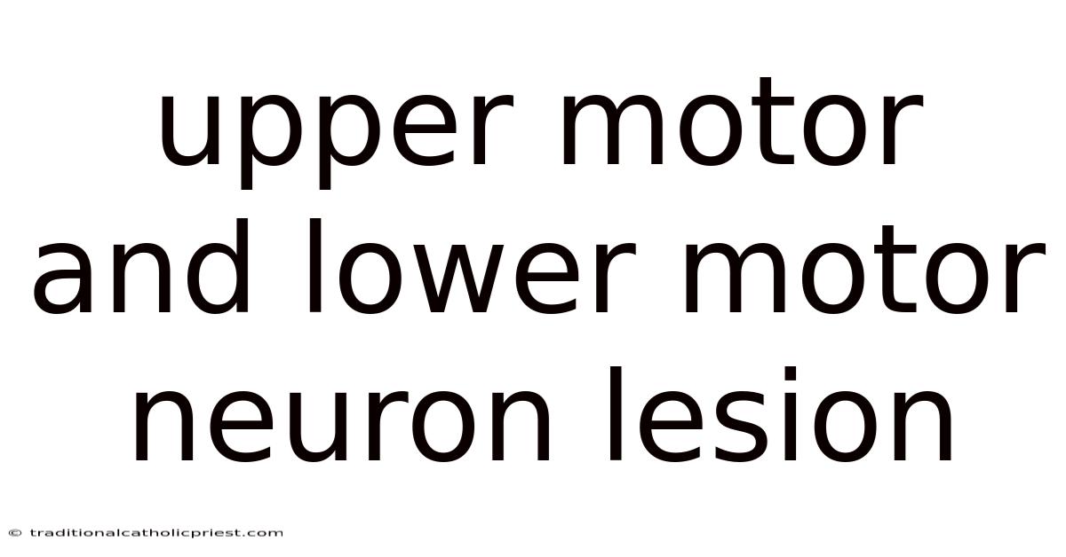 Upper Motor And Lower Motor Neuron Lesion