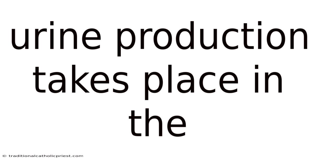 Urine Production Takes Place In The