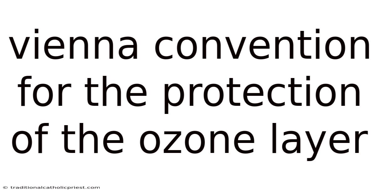 Vienna Convention For The Protection Of The Ozone Layer