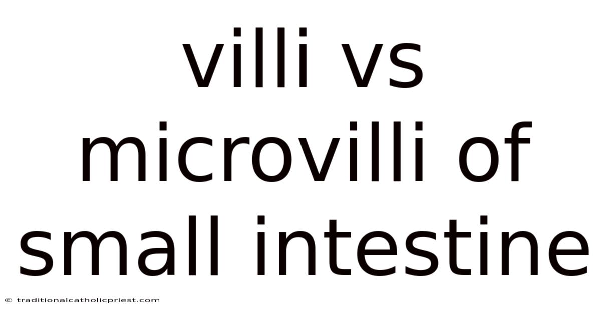 Villi Vs Microvilli Of Small Intestine