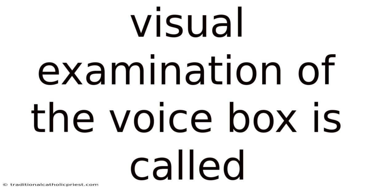 Visual Examination Of The Voice Box Is Called