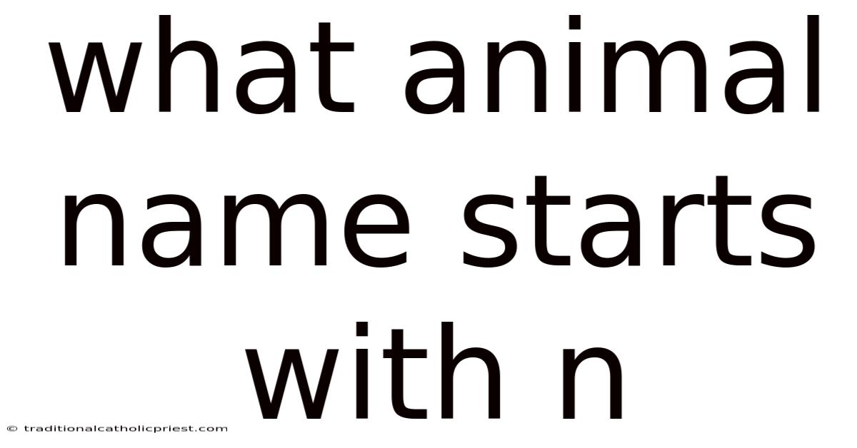 What Animal Name Starts With N
