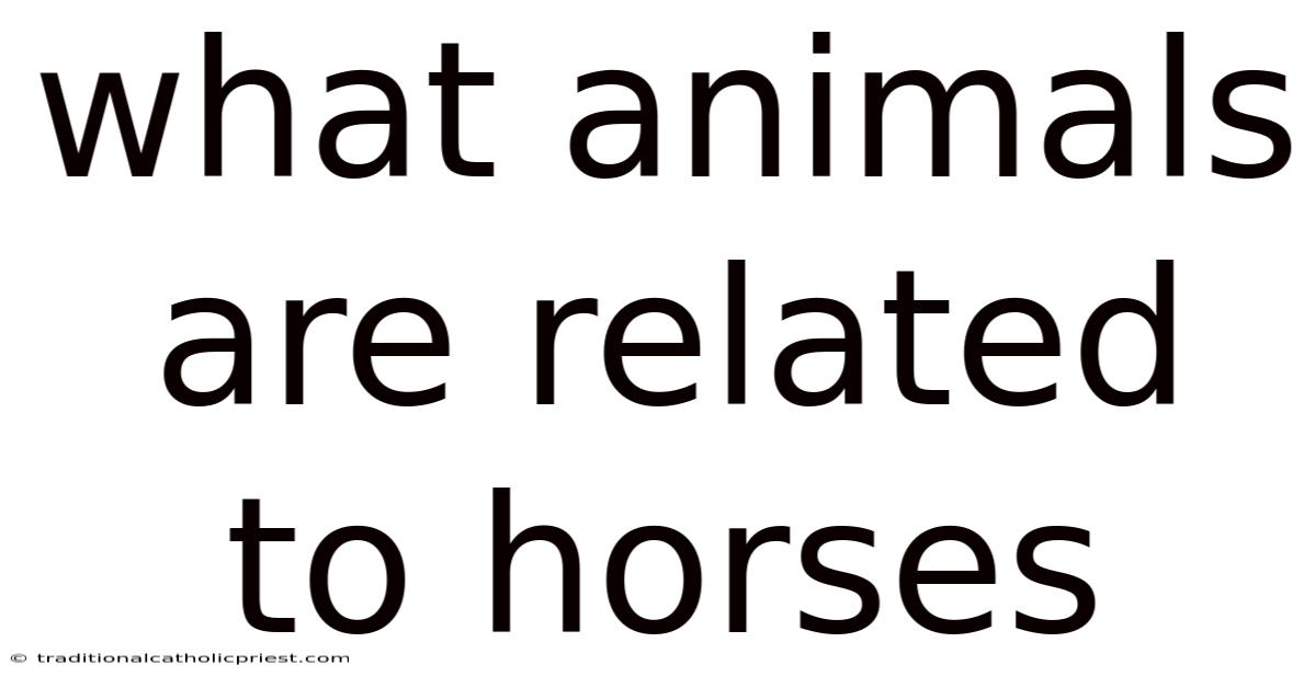 What Animals Are Related To Horses