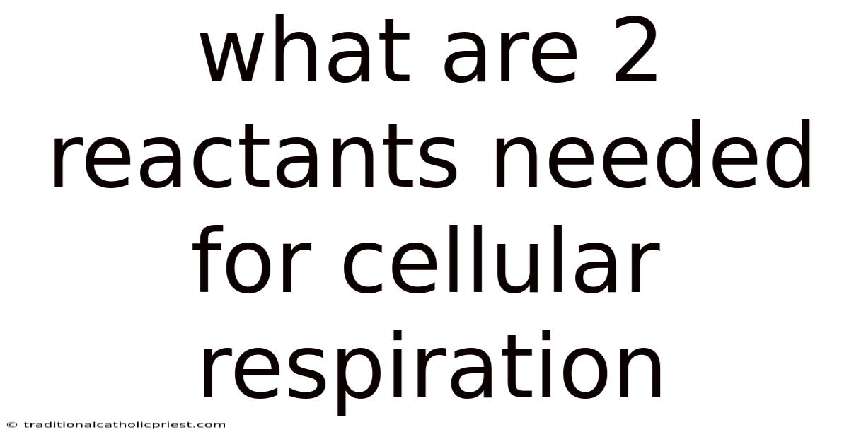 What Are 2 Reactants Needed For Cellular Respiration