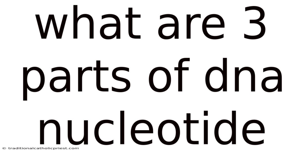What Are 3 Parts Of Dna Nucleotide